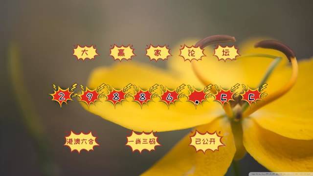 4949開獎免費(fèi)資料澳門,全身心數(shù)據(jù)指導(dǎo)枕_無線版68.927
