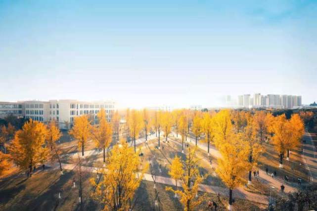 2024年11月新冠高峰期,科學(xué)分析嚴(yán)謹(jǐn)解釋_職業(yè)版30.609