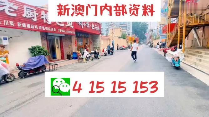 2024澳門天天開好彩大全最新版本|以德釋義解釋落實(shí),澳門天天開好彩，以德釋義解釋落實(shí)的未來展望（最新版）