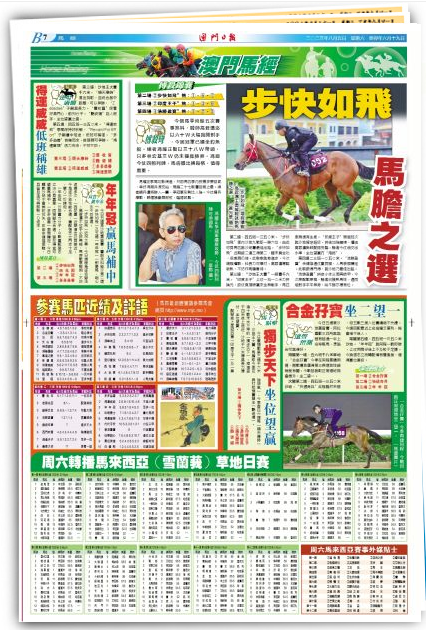 澳門特馬今期開獎結果2024年記錄|相待釋義解釋落實,澳門特馬今期開獎結果2024年記錄與釋義解釋落實的探討