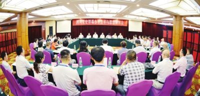 2023澳門資料大全免費|苦練釋義解釋落實,澳門資料大全與苦練釋義，深化理解與實踐落實的探討