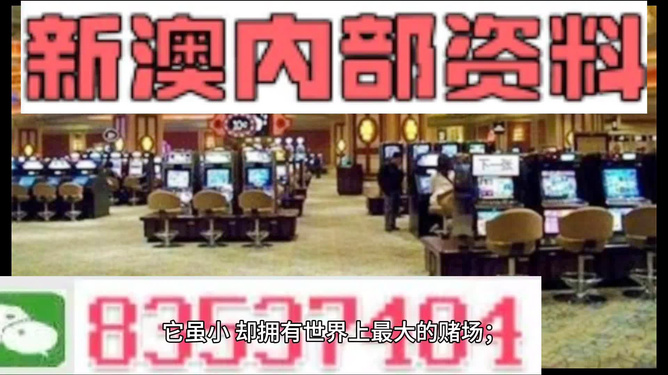 2024新澳正版資料最新更新|接納釋義解釋落實,探索新澳正版資料更新之路，接納、釋義與落實的重要性