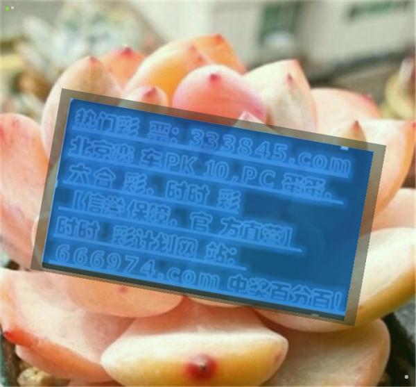 管家婆一碼一肖100中獎(jiǎng)|效果釋義解釋落實(shí),管家婆一碼一肖與中獎(jiǎng)的奧秘，效果釋義、解釋及實(shí)施策略