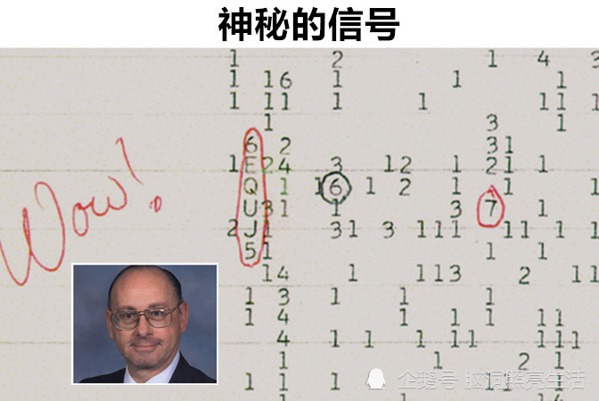 2024香港歷史開獎記錄|以法釋義解釋落實,解讀香港歷史開獎記錄，以法律釋義與落實措施