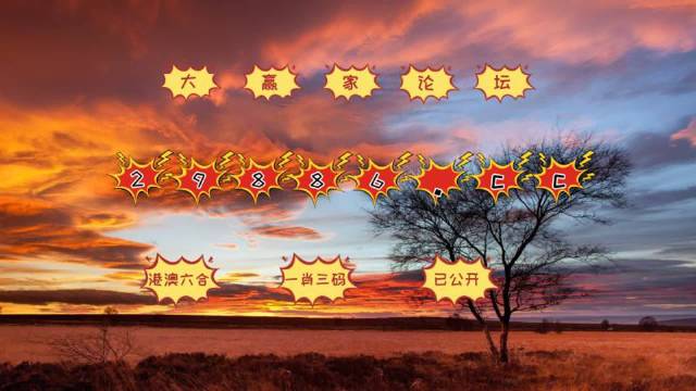 7777788888精準跑狗圖,精細評估方案_風尚版95.213