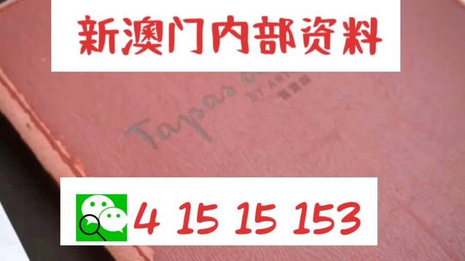 澳門內(nèi)部最準(zhǔn)資料澳門|權(quán)謀釋義解釋落實(shí),澳門內(nèi)部最準(zhǔn)資料與權(quán)謀釋義，深度解析與落實(shí)策略