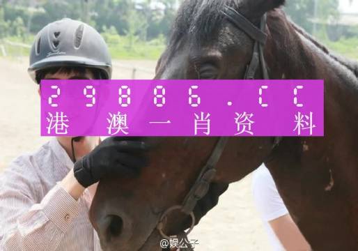 今晚澳門必中一肖一碼適|領(lǐng)域釋義解釋落實,今晚澳門必中一肖一碼，領(lǐng)域釋義、解釋與落實
