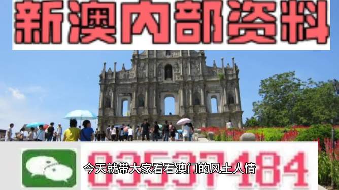 新澳今天最新資料2024|細(xì)膩釋義解釋落實,新澳今天最新資料2024，細(xì)膩釋義解釋與落實的探討