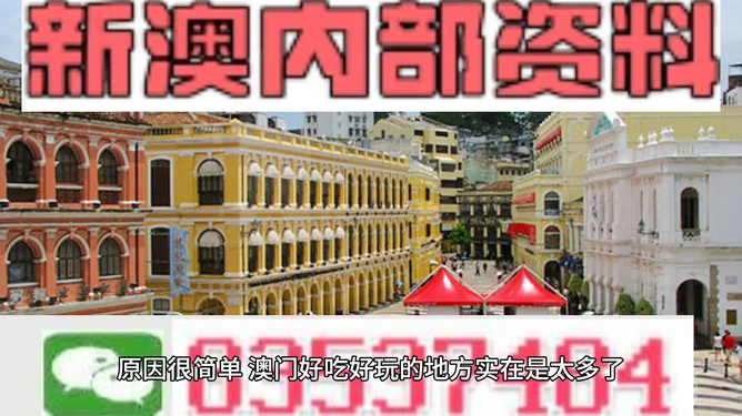 新澳門全年資料內(nèi)部公開|迎難釋義解釋落實(shí),新澳門全年資料內(nèi)部公開，迎難釋義、解釋落實(shí)