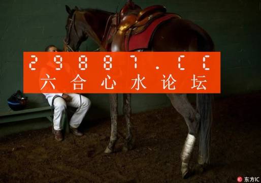 澳門(mén)一肖一碼100管家婆9995|格物釋義解釋落實(shí),澳門(mén)一肖一碼與格物釋義，探索、解釋與落實(shí)