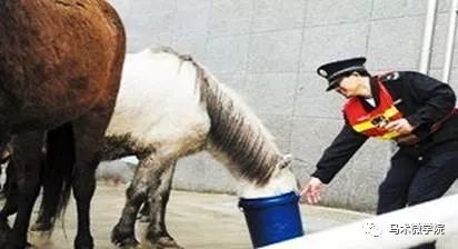 澳門今晚開特馬四不像圖|引導(dǎo)釋義解釋落實(shí),澳門今晚開特馬四不像圖，引導(dǎo)釋義解釋落實(shí)的探討