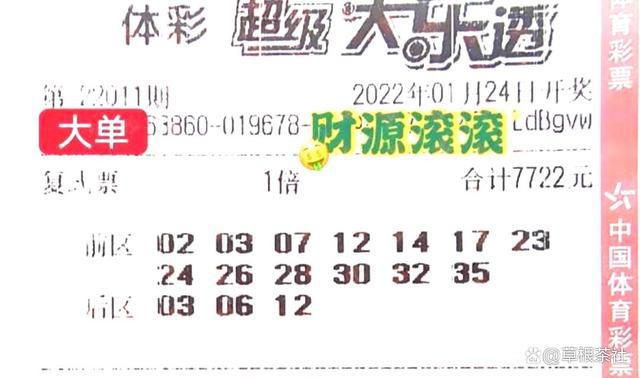 2024天天彩正版免費資料|性強釋義解釋落實,探索2024天天彩正版免費資料的深層含義與實踐落實策略