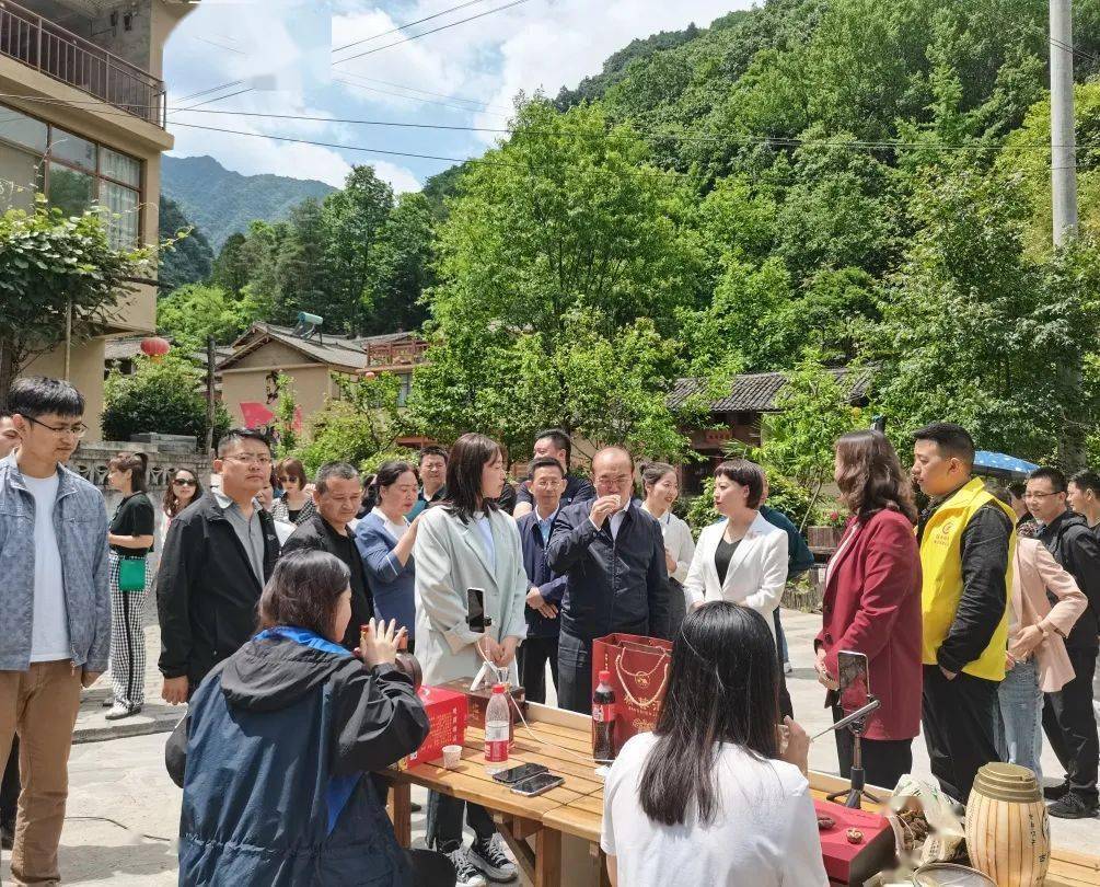 新奧門(mén)資料全年免費(fèi)精準(zhǔn),社會(huì)責(zé)任實(shí)施_家庭版87.582