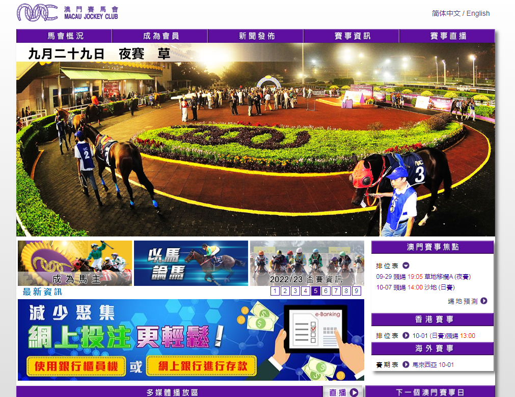 馬會(huì)傳真資料2025新澳門|領(lǐng)略釋義解釋落實(shí),馬會(huì)傳真資料2025新澳門，釋義解釋與落實(shí)展望