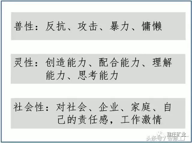 三肖必中特三肖三碼免費公開|必要釋義解釋落實,三肖必中特三肖三碼免費公開，深度解析與必要釋義解釋落實