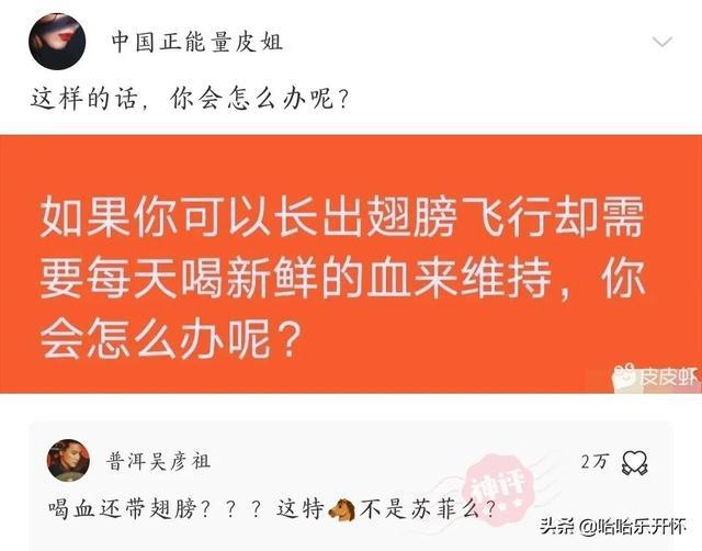 7777788888管家婆精準(zhǔn)版游戲介紹|形象釋義解釋落實,揭秘，7777788888管家婆精準(zhǔn)版游戲介紹與形象釋義的深度解讀