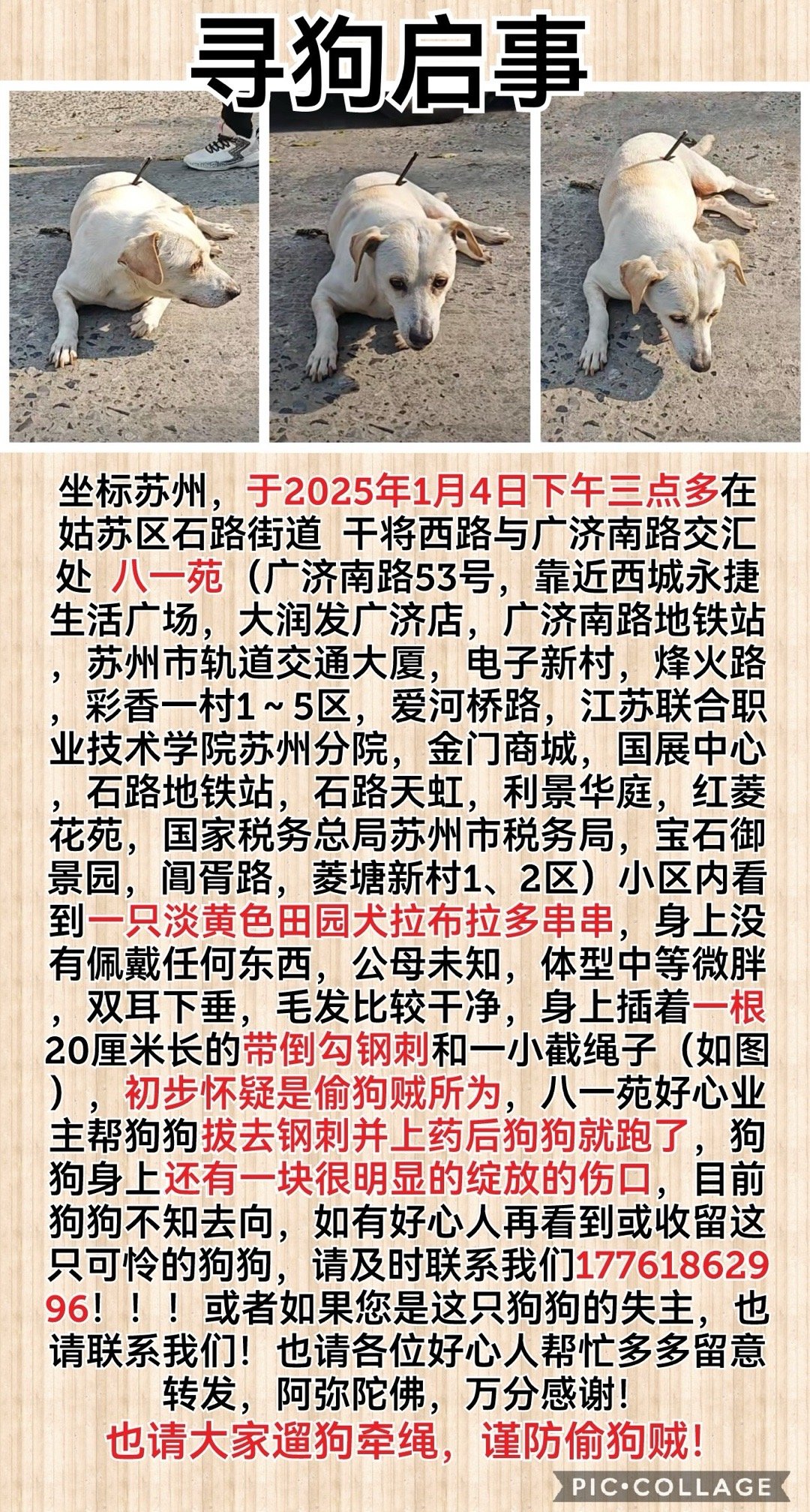 2025年7777788888新版跑狗圖|挑戰(zhàn)釋義解釋落實,探索未來跑狗圖，挑戰(zhàn)釋義解釋落實之路