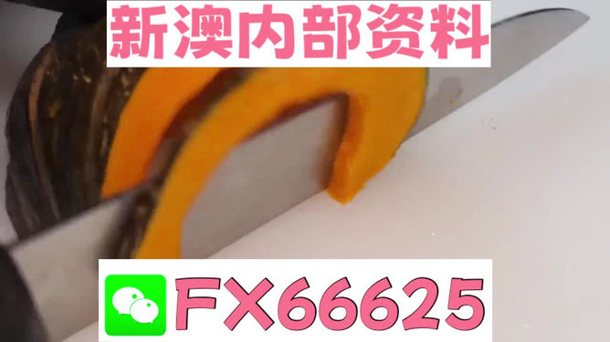 新澳門精準(zhǔn)資料大全管家婆料|功率釋義解釋落實,新澳門精準(zhǔn)資料大全與功率釋義，管家婆料在行動中的落實