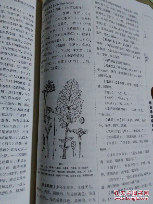 正版綜合資料一資料大全|實(shí)驗(yàn)釋義解釋落實(shí),正版綜合資料一資料大全，實(shí)驗(yàn)釋義、解釋與落實(shí)的重要性