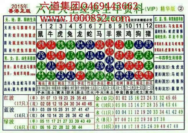 2025十二生肖49碼表|進(jìn)度釋義解釋落實(shí),關(guān)于十二生肖與數(shù)字編碼的關(guān)聯(lián)——解讀2025年十二生肖49碼表及其進(jìn)度釋義的落實(shí)