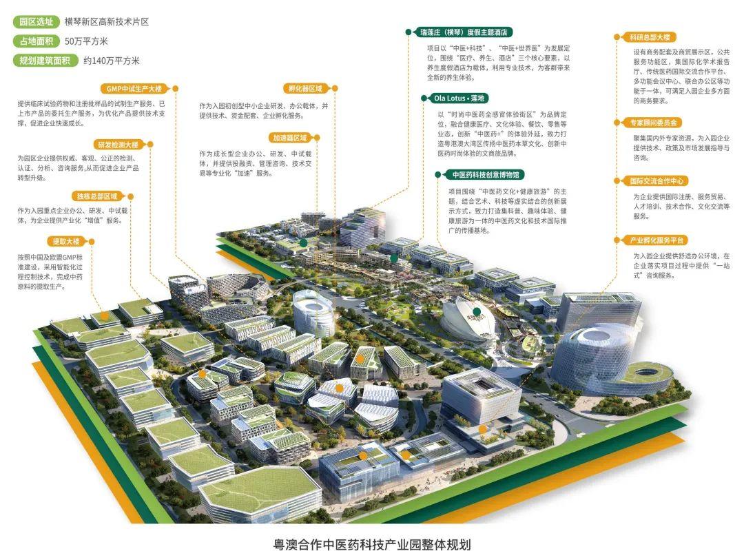 2025澳門今天晚上開什么生肖啊|則明釋義解釋落實,澳門生肖預(yù)測與未來展望，解讀未來的奧秘與探索實踐