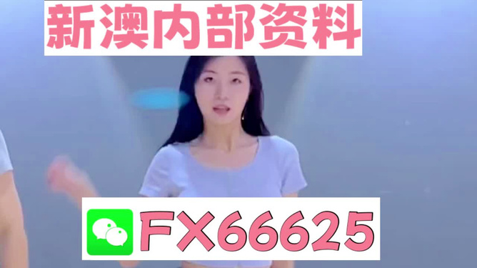 新澳門精準資料大全管家婆料|效益釋義解釋落實,新澳門精準資料大全與管家婆料，效益釋義、解釋及實施策略
