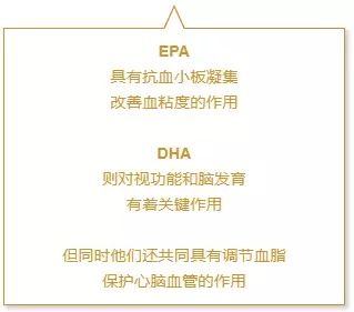 2025新澳精準(zhǔn)資料免費提供下載|中肯釋義解釋落實,探索未來，關(guān)于新澳精準(zhǔn)資料的分享與落實中肯釋義的策略