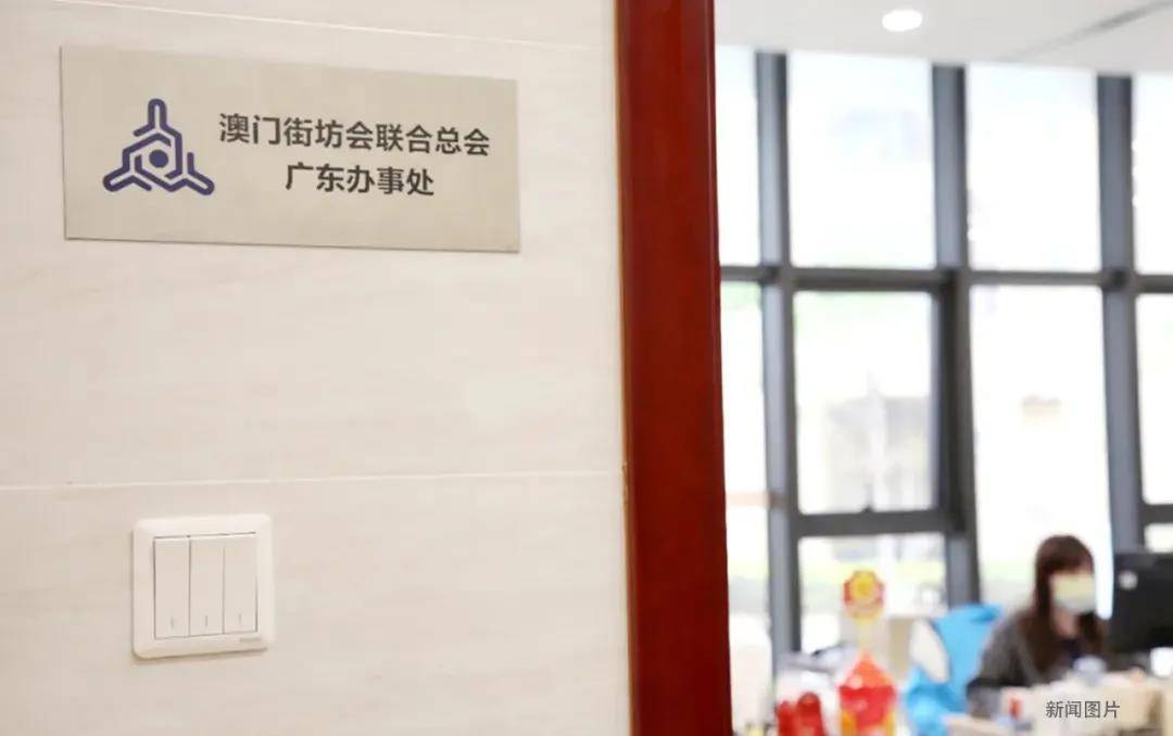 新奧門天天免費資料大全|完滿釋義解釋落實,新澳門天天免費資料大全與完滿釋義解釋落實深度探討