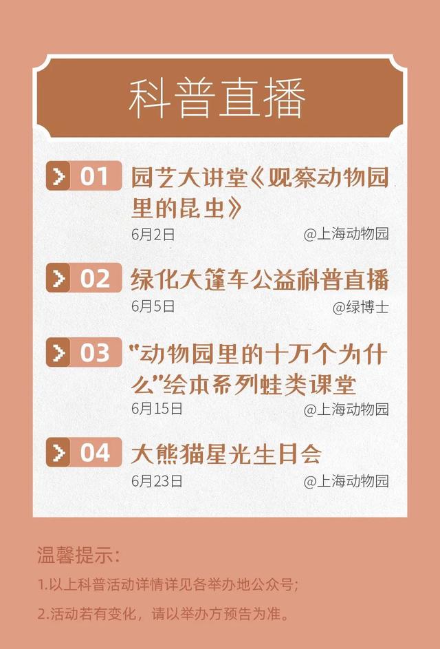 204年澳門免費精準資料|勵精釋義解釋落實,澳門精準資料，勵精釋義，落實行動的重要性