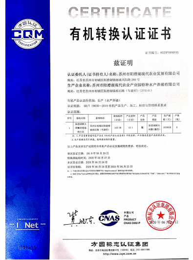 新奧門特免費(fèi)資料大全火鳳凰|處理釋義解釋落實(shí),新澳門特免費(fèi)資料大全火鳳凰，處理釋義解釋落實(shí)