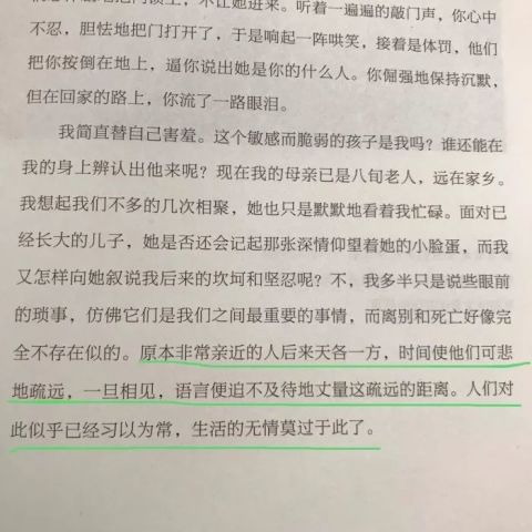 600圖庫大全免費資料圖|生命釋義解釋落實,探索生命釋義與落實圖庫資料的豐富內(nèi)涵——600圖庫大全免費資料圖