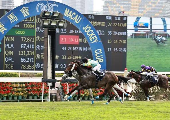 2025年澳門特馬今晚開碼|策動(dòng)釋義解釋落實(shí),澳門特馬今晚開碼，策動(dòng)釋義、解釋與落實(shí)的探討