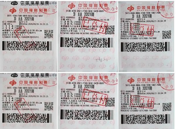 024天天彩全年免費(fèi)資料|條理釋義解釋落實(shí),解析024天天彩全年免費(fèi)資料，條理釋義與落實(shí)策略