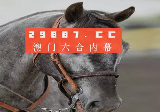 今晚一肖一碼澳門一肖com|盛大釋義解釋落實(shí),盛大釋義下的澳門今晚一肖一碼探索與落實(shí)