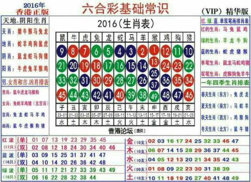 2025十二生肖49碼表|進(jìn)度釋義解釋落實(shí),關(guān)于十二生肖與數(shù)字編碼的交匯，解讀2025年十二生肖與49碼表及其進(jìn)度釋義的實(shí)施落實(shí)