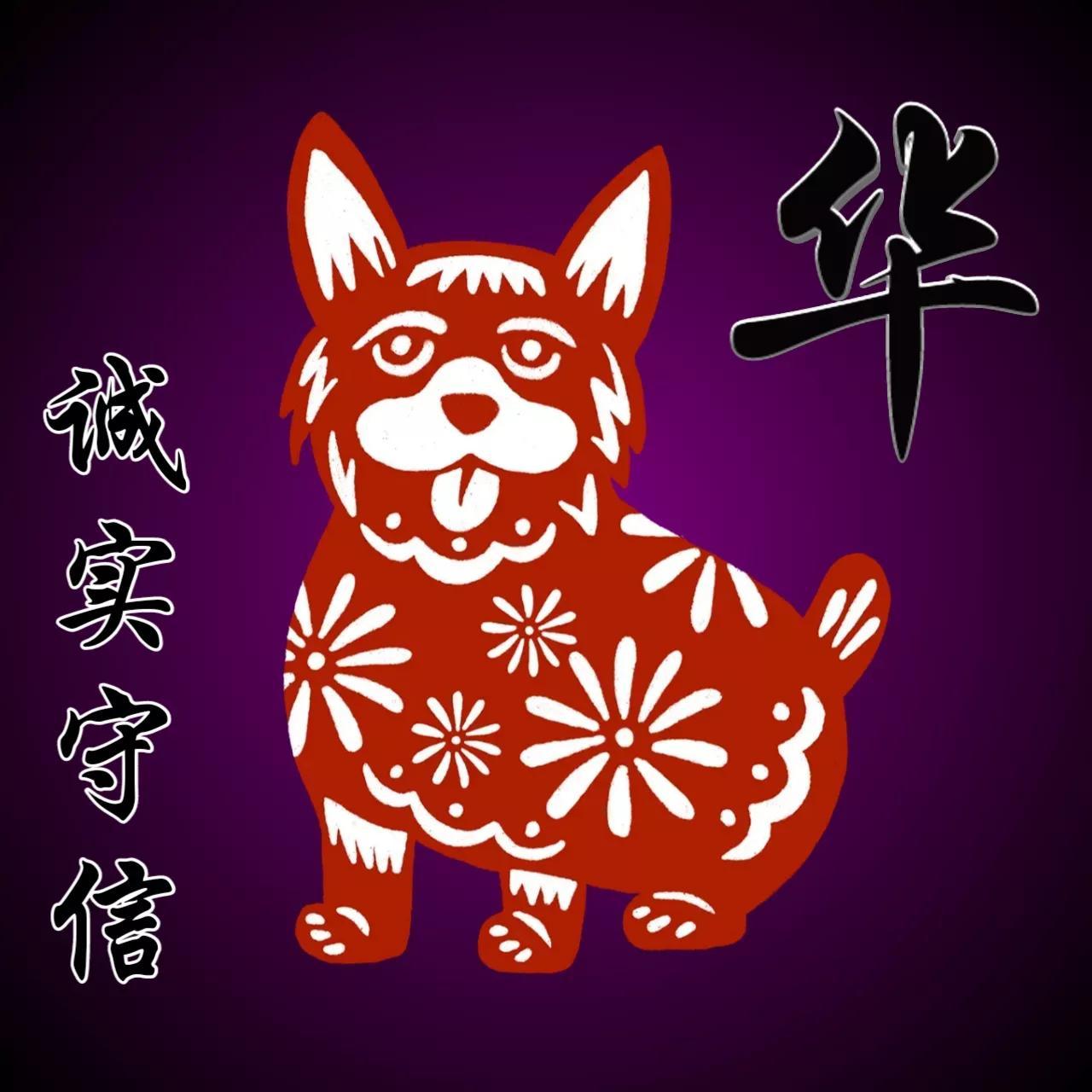 2025十二生肖49個碼|守信釋義解釋落實,2025十二生肖與守信釋義，解碼49個碼，深入解讀并實踐落實