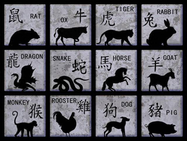 2004最準(zhǔn)的一肖一碼100%|證明釋義解釋落實(shí),揭秘2004年生肖預(yù)測(cè)，精準(zhǔn)一肖一碼背后的釋義與落實(shí)