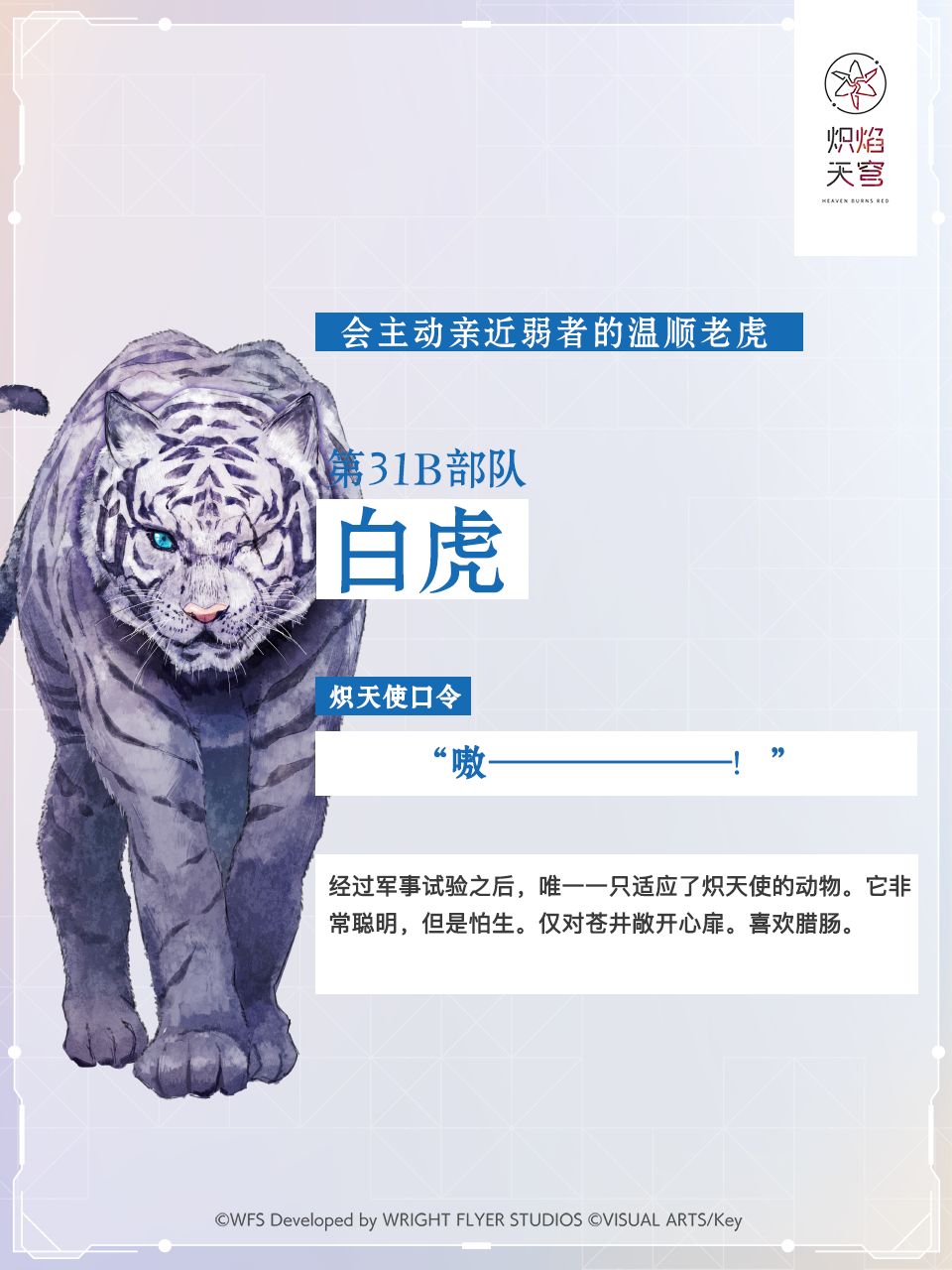 白小姐紅虎網(wǎng),科學(xué)分析解釋說(shuō)明_改進(jìn)版16.873 - 副本