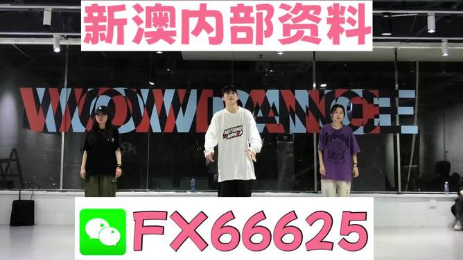 管家婆一碼一肖資料大全|定義釋義解釋落實(shí),管家婆一碼一肖資料大全，定義、釋義、解釋與落實(shí)