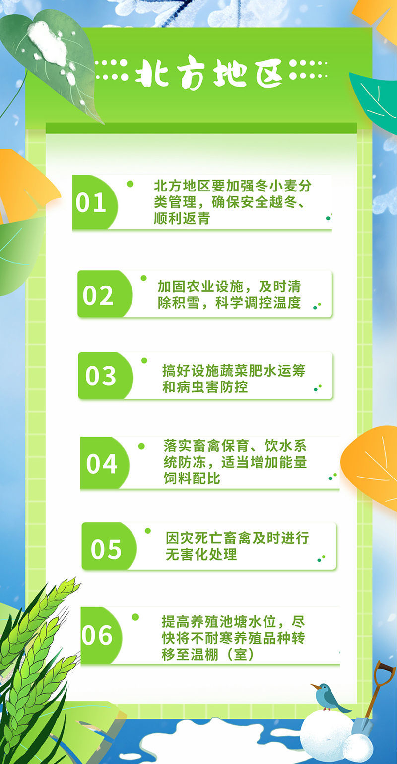 新2024年澳門天天開好彩,策略規(guī)劃_明亮版33.731