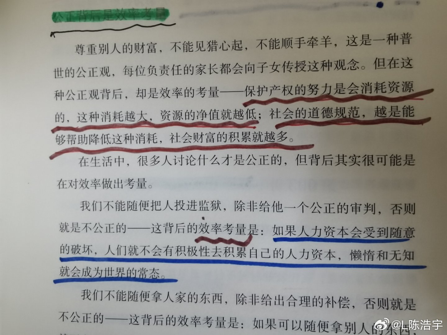 一肖一碼一一肖一子|理性釋義解釋落實(shí),一肖一碼一一肖一子，理性釋義、解釋與落實(shí)