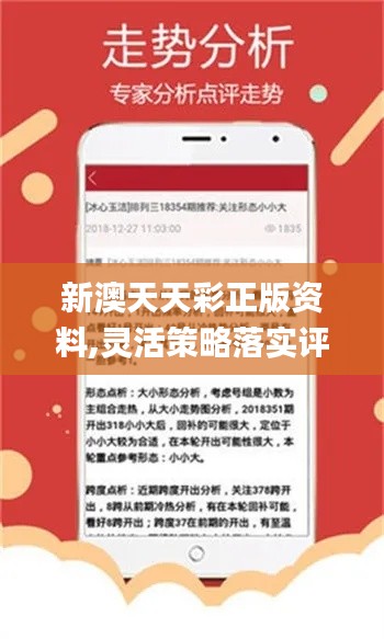 新澳天天彩免費(fèi)資料查詢85期|求精釋義解釋落實(shí),新澳天天彩免費(fèi)資料查詢85期，求精釋義、解釋與落實(shí)