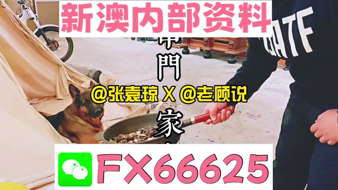 新澳門精準(zhǔn)資料大全管家婆料|效益釋義解釋落實(shí),新澳門精準(zhǔn)資料大全與管家婆料，效益釋義、解釋及落實(shí)
