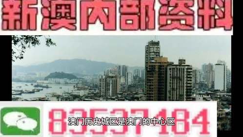 澳門(mén)內(nèi)部最準(zhǔn)資料澳門(mén)|預(yù)見(jiàn)釋義解釋落實(shí),澳門(mén)內(nèi)部最準(zhǔn)資料與預(yù)見(jiàn)釋義，探索、解釋與落實(shí)