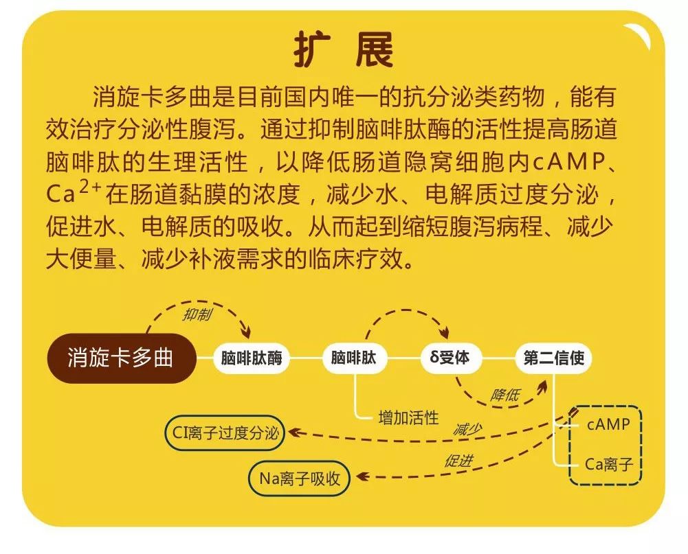 澳門免費資料 內(nèi)部資料|速效釋義解釋落實,澳門免費資料內(nèi)部資料與速效釋義解釋落實研究