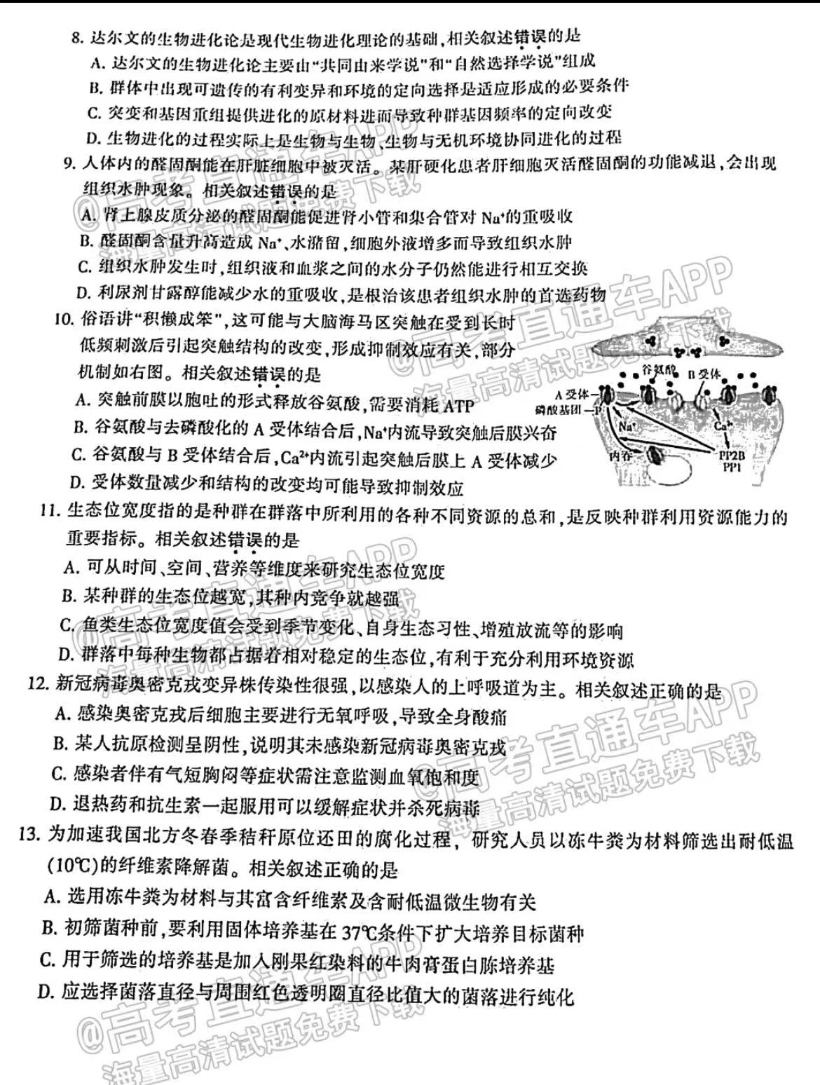 2025澳門特馬今晚開獎98期|調(diào)查釋義解釋落實,澳門特馬今晚開獎98期，調(diào)查釋義、解釋與落實的重要性