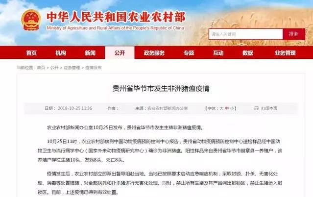 新澳精準(zhǔn)資料免費提供265期|自動釋義解釋落實,新澳精準(zhǔn)資料免費提供，第265期的深度解讀與自動釋義解釋落實策略