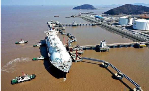 2024年新奧天天精準資料大全,專業(yè)調(diào)查具體解析_迅捷版7.260 - 副本