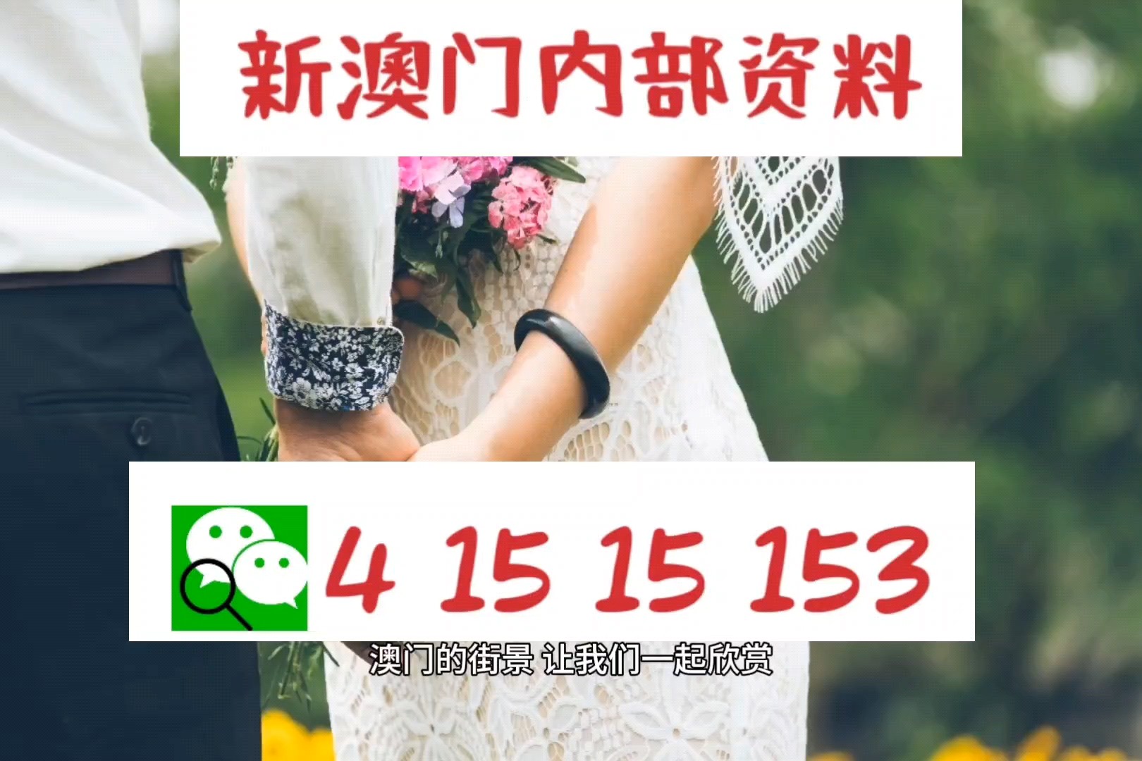 新澳門今晚精準一肖,精準分析實踐_工具版97.966 - 副本