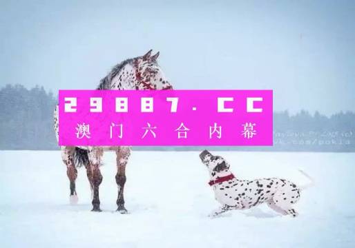 澳門(mén)精準(zhǔn)一肖一碼100%|專用釋義解釋落實(shí),澳門(mén)精準(zhǔn)一肖一碼，釋義解釋與落實(shí)策略探討